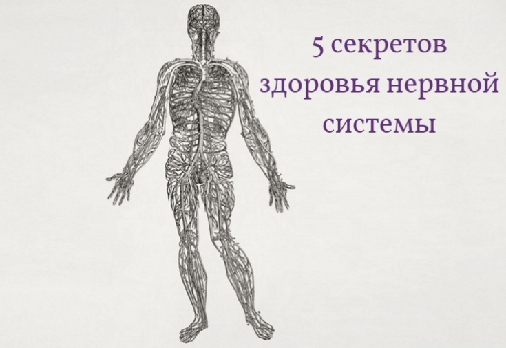 5 секретов здоровья нервной системы