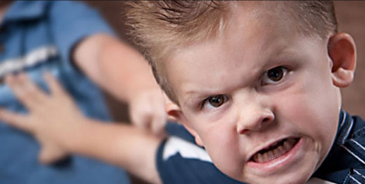Агрессивное поведение детей – как помочь справляться с гневом