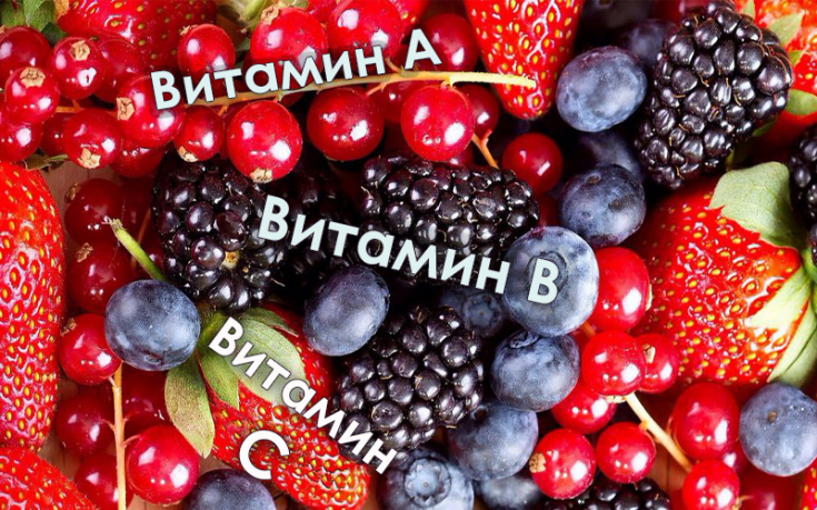 Алфавит красоты кожи – A, B3, C