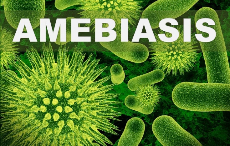 Амебиаз: современные принципы диагностики и лечения заболевания