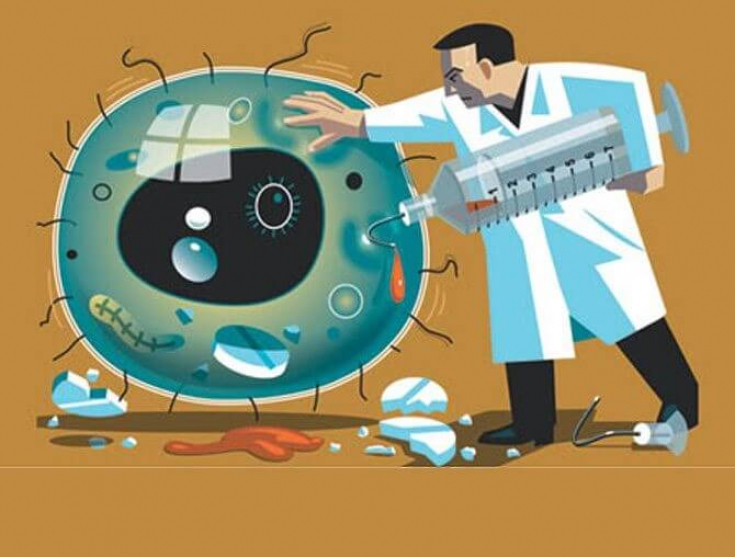 Антимикробные пептиды: как белки помогают защитить кожу и ускорить регенерацию Антимикробные пептиды: как белки помогают защитить кожу и ускорить регенерацию