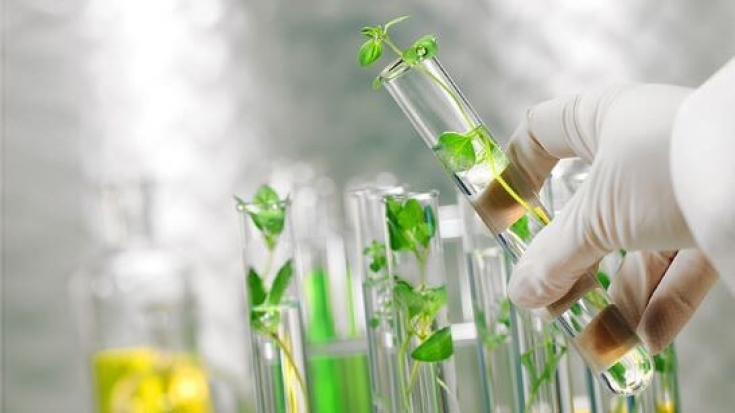 Биоидентичная гормональная терапия