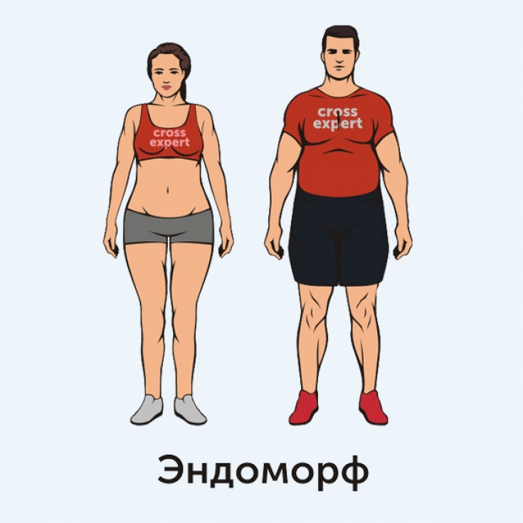 Эндоморф – как определить данный тип телосложения