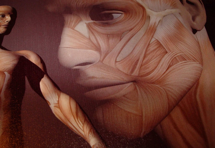 Эпигенетика: не гены правят человеком, а человек – генами