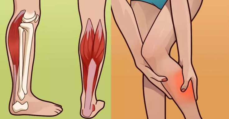 Как бороться с весенними судорогами с помощью питания