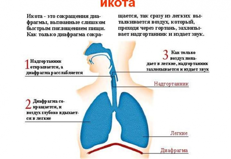 Как быстро избавиться от икоты: самые эффективные способы