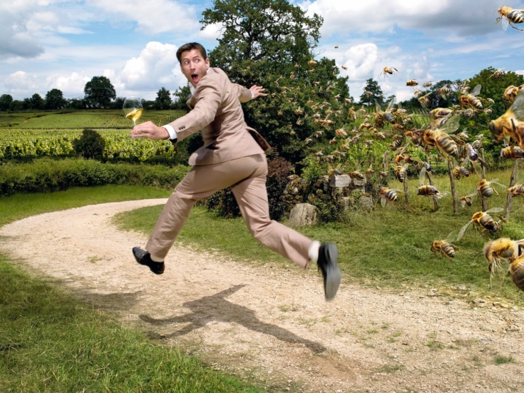 Как снять боль и отечность после укуса осы