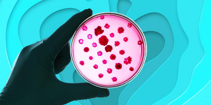 Как увеличивает срок жизни и лечит  биохакинг