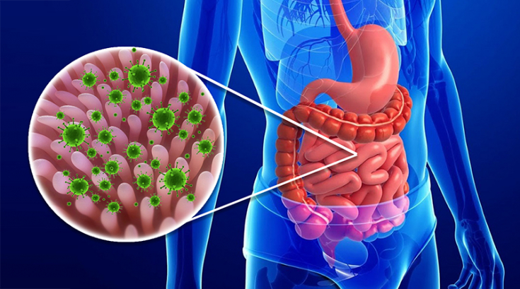 Кишечный грипп: симптомы и лечение болезни