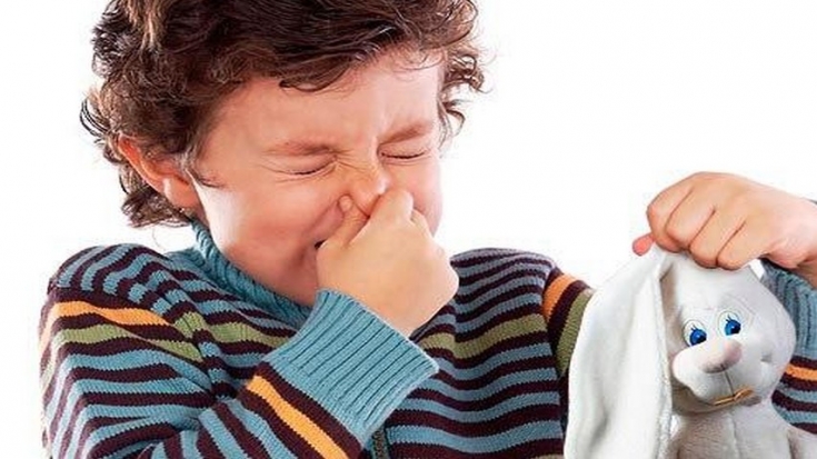 Как вредные игрушки влияют на вашего ребенка