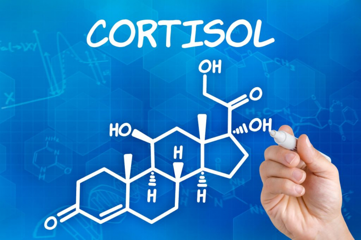  Надлишок кортизолу: жирок на животі та «гусячі лапки» на обличчі