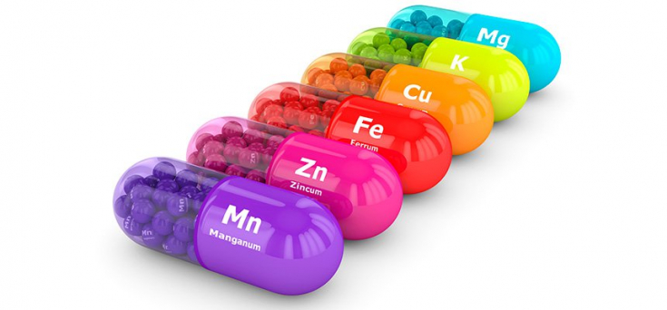 Роль минеральных веществ в обеспечении жизненных процессов человека