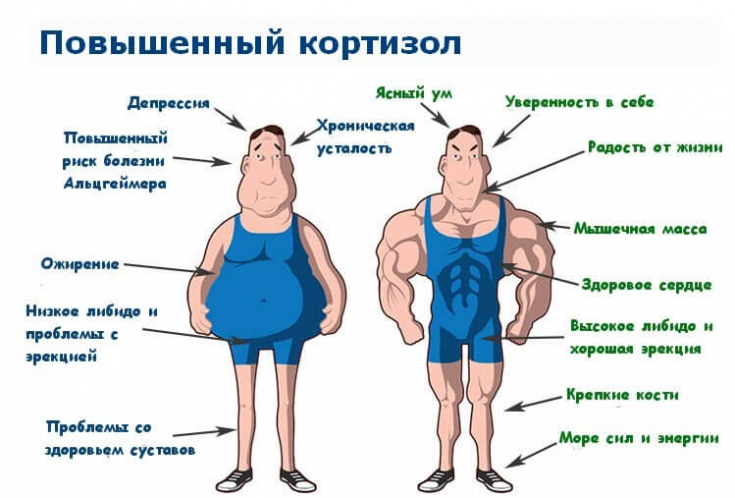 My default image