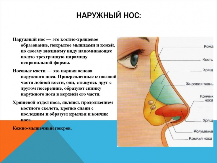 фурункул у носі
