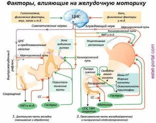 4-pravila-uspeshnogo-utra-zaryazhaemsya-energiej