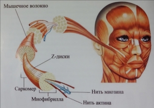 5-otkrytij-kotorye-izmenili-moyu-rabotu-v-etom- godu
