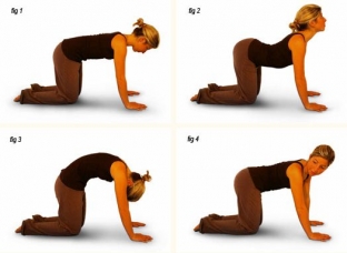 8-asan-jogi-kotorye-pomogut-ukrepit-poyasnichny-otdel