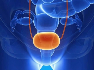 botulotoksin-v-urologii-in-ektsii-botoksa-dlya-lecheniya- samykh-delikatnykh-problem