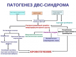 dvs-sindrom-kak-chrezmernaya-zashchitnaya-reaktsiya-organizma