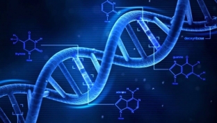geneticheskoe-testirovanie-osnova-personalizirovannoj-meditsiny-21-go-veka