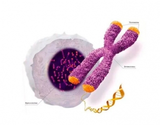 geneticheskoe-testirovanie-osnova-personalizirovannoj-meditsiny-21-go-veka