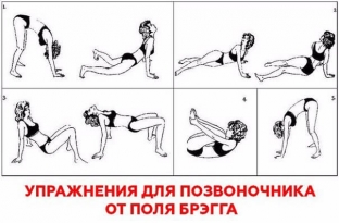 gimnastika-polya-bregga-effektivnye-uprazhneniya-dlya-pozvonochnika