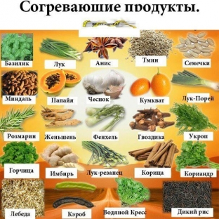 kak-pitatsya-chtoby-sbalansirovat-in-i-yan