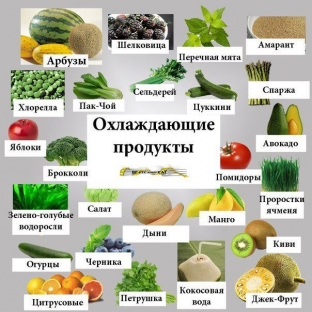 kak-pitatsya-chtoby-sbalansirovat-in-i-yan