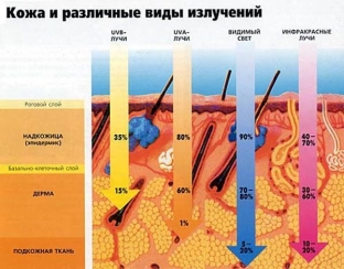 kakim-trebovaniyam-dolzhny-sootvetstvovat-solntsezashchitnye-sredstva-dlya
                        ></p>
<p>Зовнішні фактори, які сприяють руйнуванню бар'єру шкіри:</p>
<ul>
<li>сезонне зниження температур;</li>
<li>різкі перепади вологості повітря;</li>
<li>вплив забруднювачів;</li>
<li>інтенсивне очищення шкіри та застосування <a target=