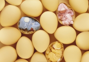 lechit-besplodie-pomogut-predshestvenniki-polovykh-kletok