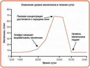 melatonin-na-chto-vliyaet-chudodejstvennyj-gormon-sna