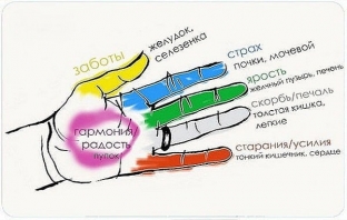 obkhvat-paltsev-ruk-dzhin-shin-dhitsu-vozmite- zdorove-v-svoi-ruki