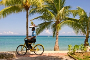 pochemu-yamajskie-beguny-luchshie-v-mire