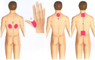 prichiny-zuda-kozhi-raznykh-anatomicheskikh-oblastej