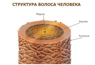 sekrety-professionalnogo-ukhoda-za-volosami-letom