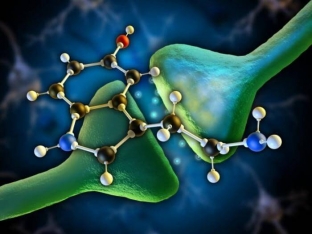 serotonin-kak-uvelichit-uroven-gormona-schastya