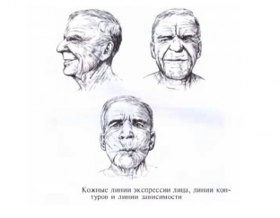 tonkij-rubets-posle-plasticheskikh-operatsij-kak-dobitsya-takogo- rezultata