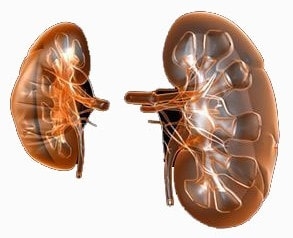 utrennyaya-otechnost-litsa-vozmozhno-eto-priznaki-glomerulonefrita